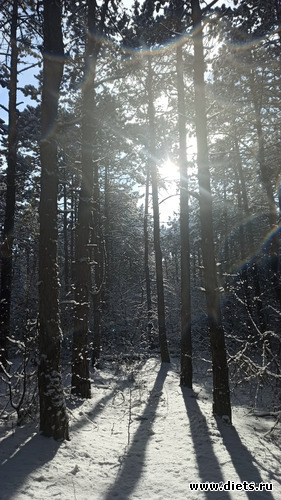 129 фото: Погода