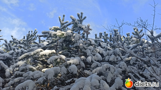 130 фото: Погода