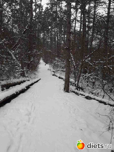 141 фото: Погода