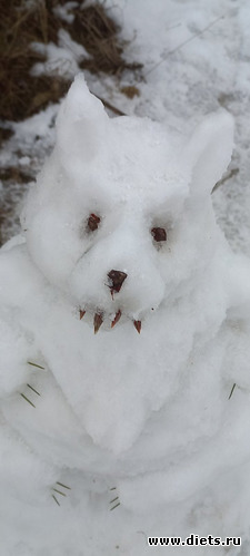 146 фото: Погода