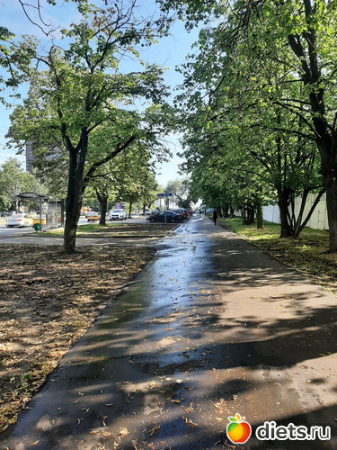 11071, альбом: Январь 2022