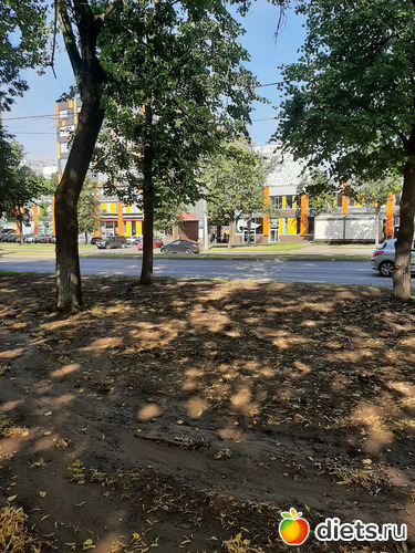 11072, альбом: Январь 2022