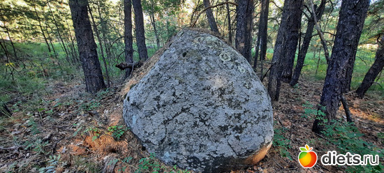 в лесу много камней, альбом: Лето 20 и 22/ Селетинские каньоны. 22.08.20/14.07.22