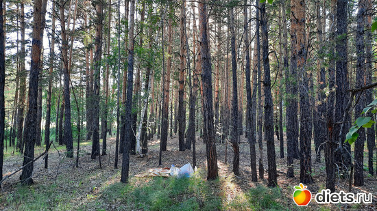 вон там присели перекусить, альбом: Лето 20 и 22/ Селетинские каньоны. 22.08.20/14.07.22