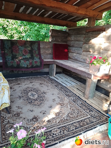 21 фото: Дача-огород.