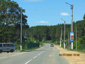 въезжаем в густой сосновый бор