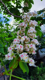 � ������� ������� �� ������.../ ���� � ���������� "���� ������ ����"