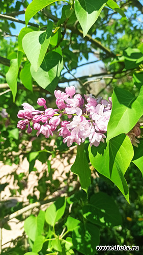 279 фото: Погода