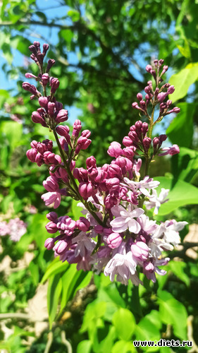 280 фото: Погода