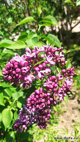 281 фото: Погода