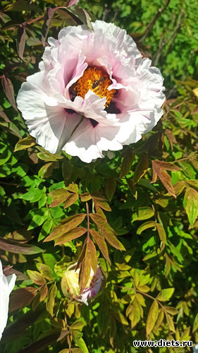 283 фото: Погода