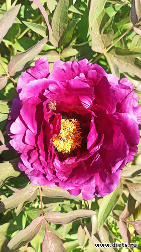 284 фото: Погода