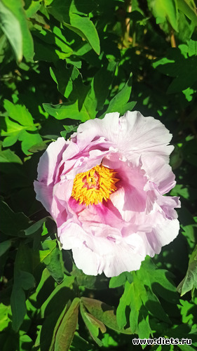 285 фото: Погода