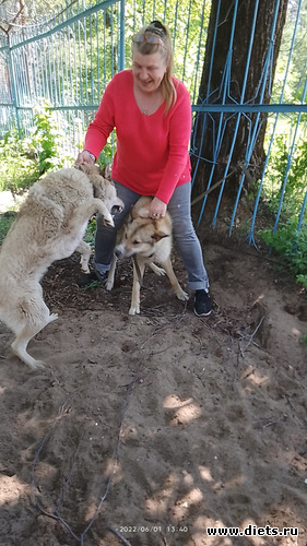 26 фото: Мои новые фоточки .