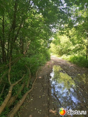  &quot; &quot;, :   .  3-4.