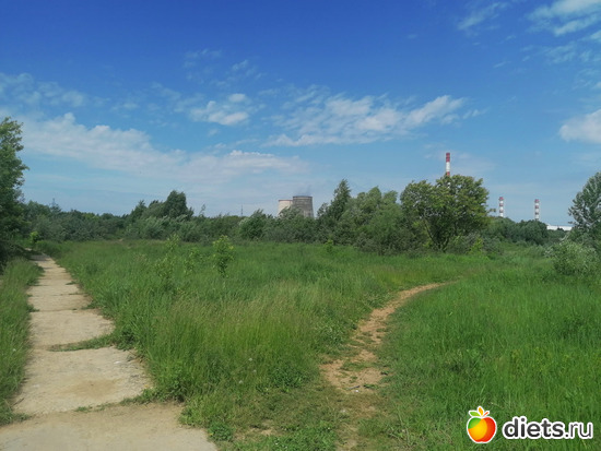 Поля, просторы, альбом: Путь в Лавру. Дни 3-4.