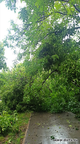 318 фото: Погода