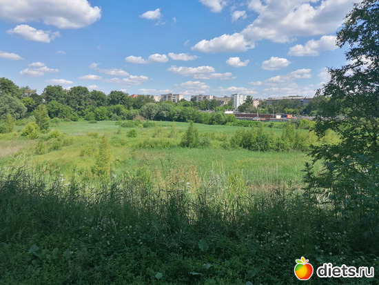 Вид от дачи Маяковского, альбом: Путь в Лавру. Дни 3-4.