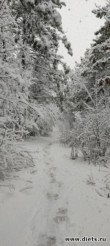 198 фото: Погода