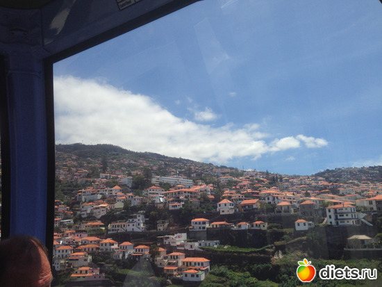 417 ����: ���������� ���� 2016