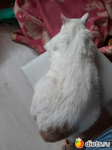 8 фото: Январь 2022