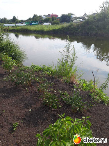 6 ����: ��� ����,��� ��������