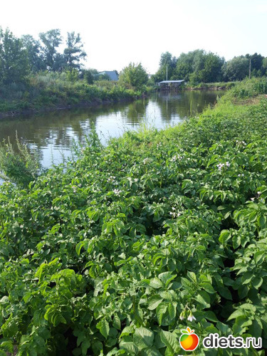 7 ����: ��� ����,��� ��������