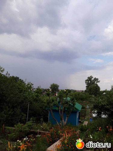 8 ����: ��� ����,��� ��������