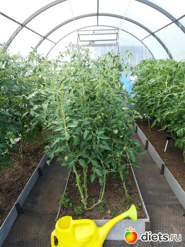 9 ����: ��� ����,��� ��������