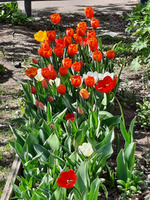 ��-��������, � �������� � ������