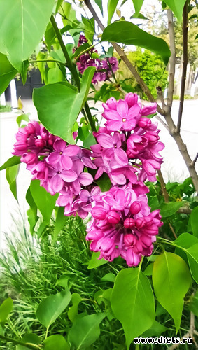 252 фото: Погода