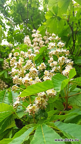 255 фото: Погода