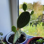 ����� �������� ����... ���������� � �������. ��������� ����.