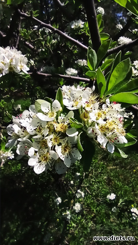 260 фото: Погода