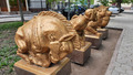 некоторых я даже не признала
