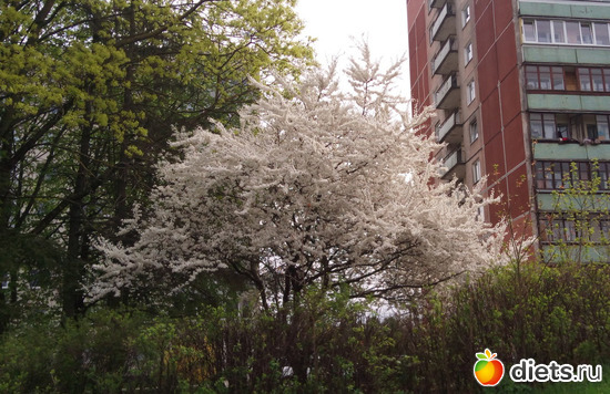 3 фото: Просто Фото