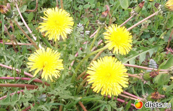 5 фото: Просто Фото