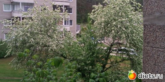 6 фото: Просто Фото