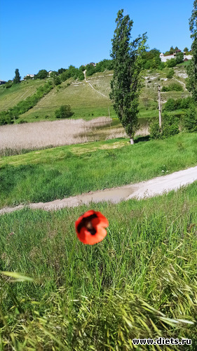 272 фото: Погода