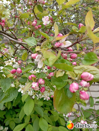 23 фото: май2022