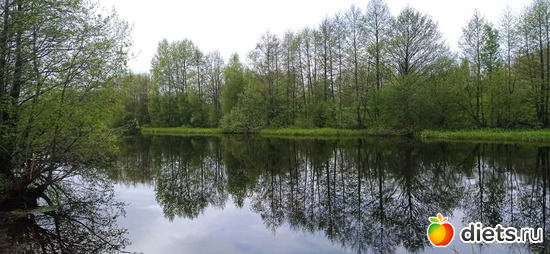 7 фото: май2022