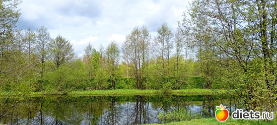 18 фото: май2022