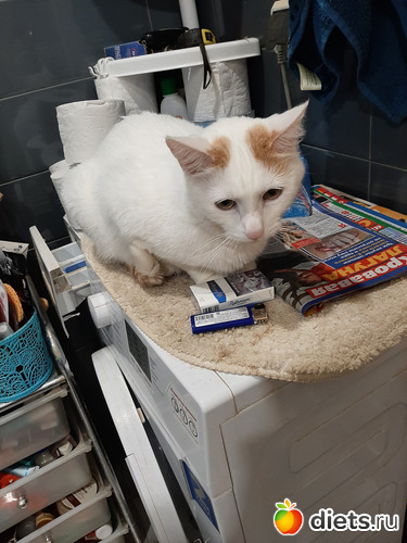 43 фото: Осень 2022