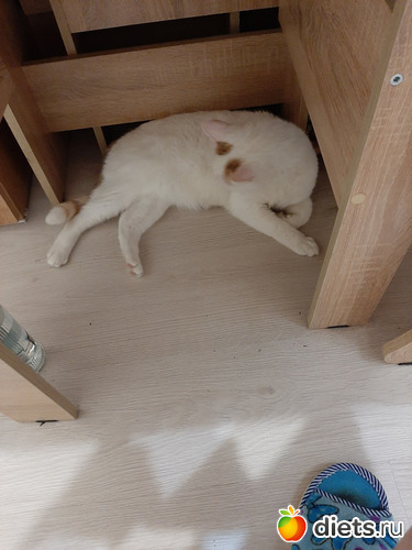 44 фото: Осень 2022