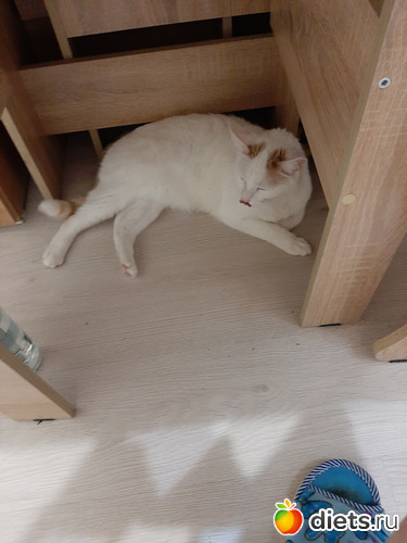 45 фото: Осень 2022