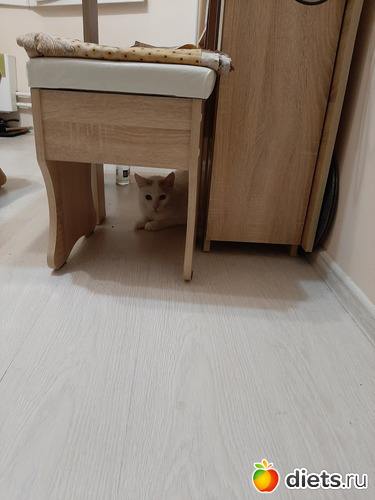 47 фото: Осень 2022