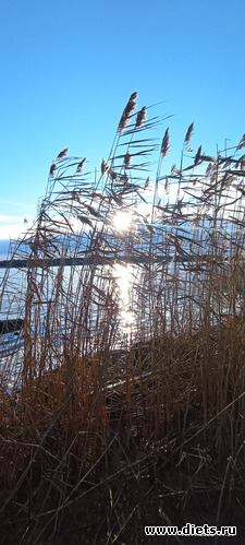 63 : 100  &quot; &quot;