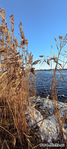 64 : 100  &quot; &quot;