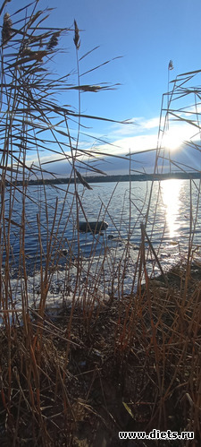 65 : 100  &quot; &quot;