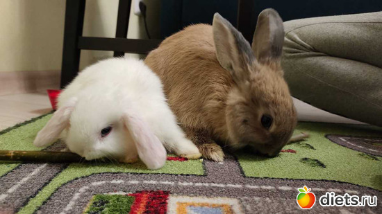 66 фото: 100 фотозарисовок "Радость внутри"